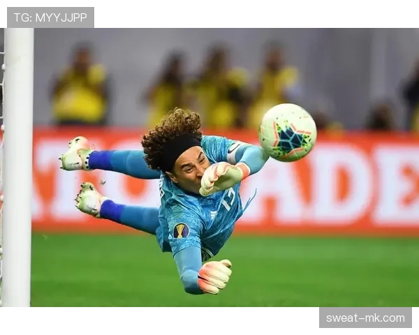 南美洲杯历程回顾：足球盛宴闪耀传奇与希望