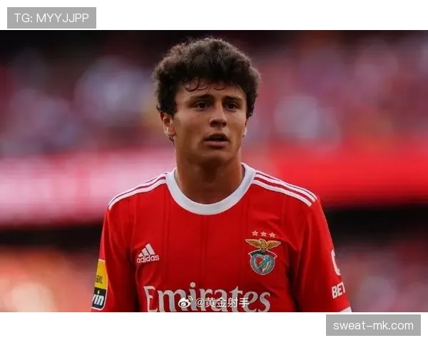 鲁本·迪亚斯本菲卡队长时期的早期成名解析